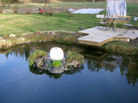 gallery_9911_2256_250660.jpg