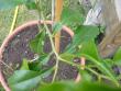 tn_gallery_10742_2261_37247.jpg
