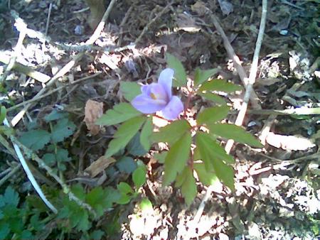 gallery_2460_1499_3464.jpg