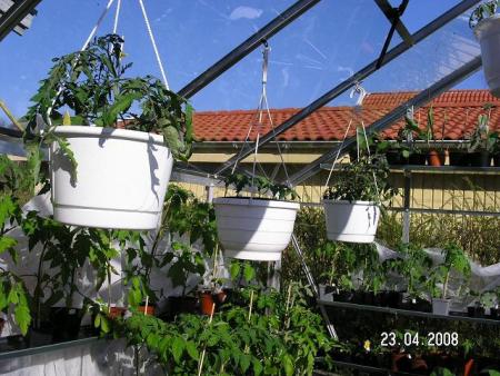 gallery_5587_1843_60746.jpg