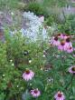tn_gallery_193_2262_16555.jpg