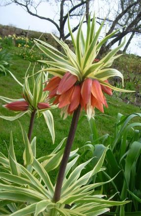 gallery_14731_2267_308153.jpg