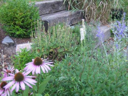 gallery_193_2262_49780.jpg
