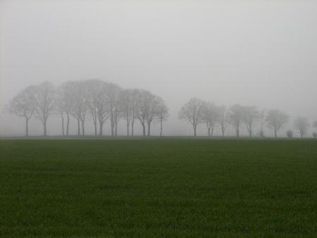 gallery_5307_609_39863.jpg