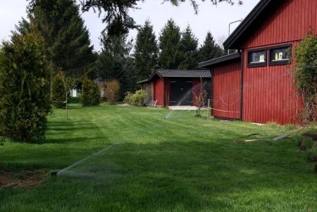 gallery_8110_2263_151519.jpg