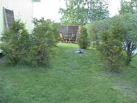 gallery_14337_2268_41238.jpg