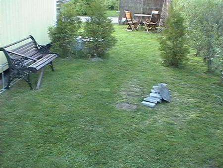 gallery_14337_2268_59253.jpg