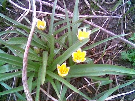 gallery_2460_1501_53361.jpg