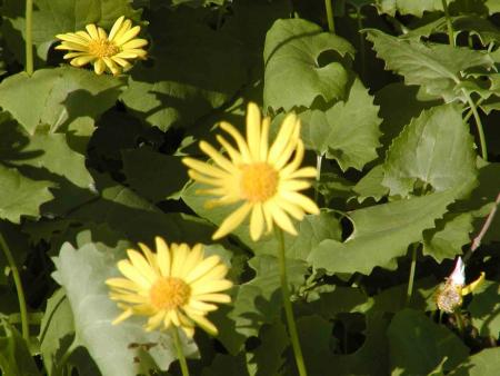 gallery_5429_2274_57969.jpg