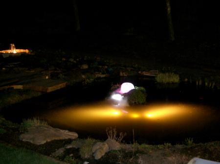 gallery_9911_2256_114299.jpg