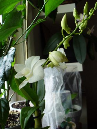 gallery_10231_957_51671.jpg