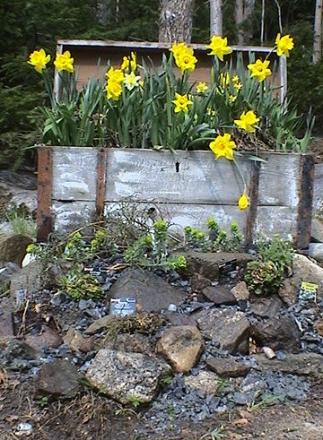 gallery_12948_2277_5274.jpg