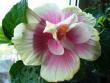 tn_gallery_10231_831_31714.jpg