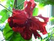 tn_gallery_10231_831_34554.jpg