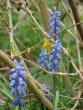 tn_gallery_3733_1844_32300.jpg