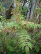 tn_gallery_3733_1844_35279.jpg