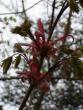 tn_gallery_3733_1844_44433.jpg