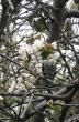 tn_gallery_3733_1844_84224.jpg