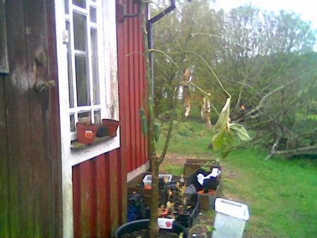 gallery_2460_1501_40549.jpg