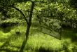 tn_gallery_365_272_57798.jpg