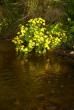 tn_gallery_365_273_18898.jpg