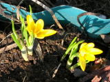 gallery_11568_2289_19178.jpg