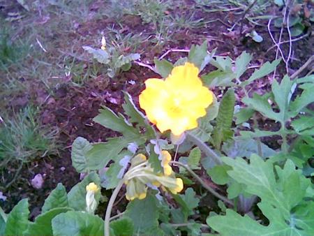 gallery_2460_1499_74073.jpg