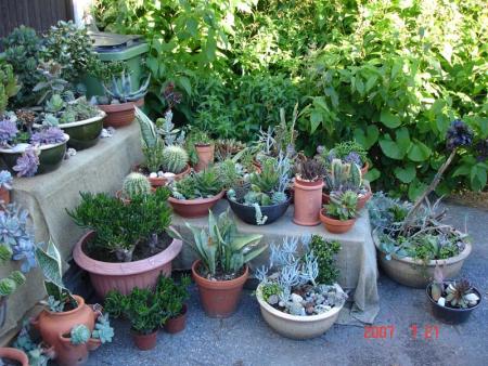 gallery_14864_2290_32474.jpg