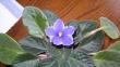 tn_gallery_4843_2291_51875.jpg