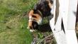 tn_gallery_4843_2294_67407.jpg