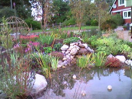 gallery_11521_1008_44709.jpg