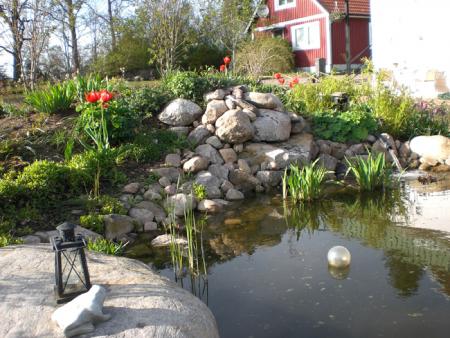gallery_11521_1008_53723.jpg