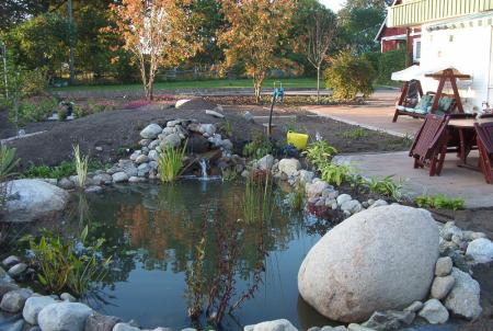 gallery_11521_1008_92014.jpg