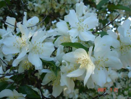 gallery_14864_2302_50438.jpg