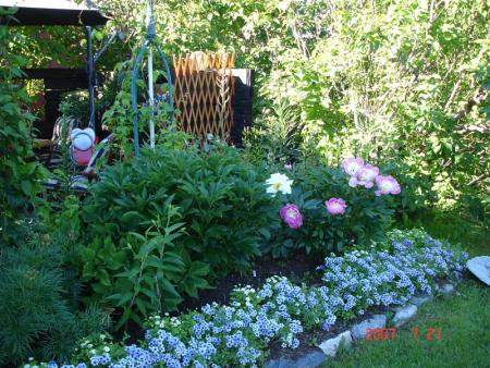 gallery_14864_2306_165105.jpg