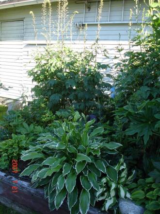 gallery_14864_2306_32376.jpg