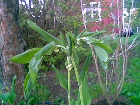 gallery_2460_1499_7161.jpg