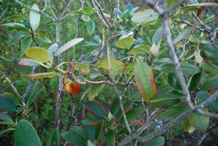 gallery_2178_2310_23627.jpg