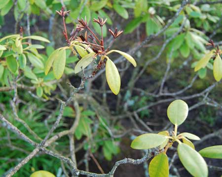 gallery_2178_2310_6599.jpg