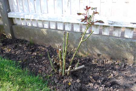 gallery_2178_2310_6804.jpg