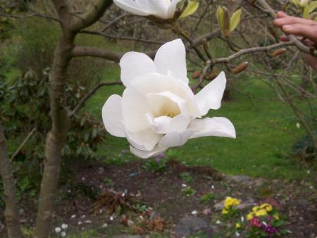 gallery_8617_2309_8887.jpg