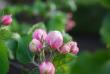 tn_gallery_2178_2310_12563.jpg