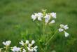 tn_gallery_2178_2310_23039.jpg