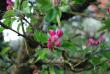 tn_gallery_2178_2310_35383.jpg