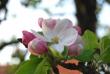 tn_gallery_2178_2310_6086.jpg