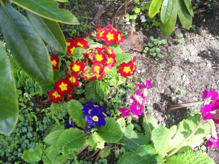 gallery_8617_2309_173578.jpg