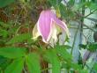 tn_gallery_2460_1501_33202.jpg