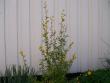 tn_gallery_7440_1854_68689.jpg