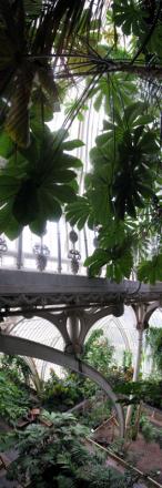 gallery_10947_664_10384.jpg