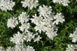 tn_gallery_36_2332_8773.jpg